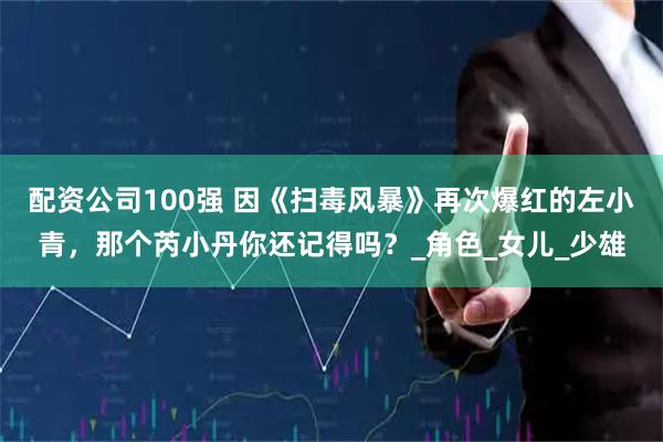 配资公司100强 因《扫毒风暴》再次爆红的左小青，那个芮小丹你还记得吗？_角色_女儿_少雄
